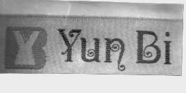 YUN BI