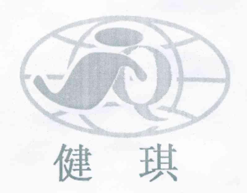 健琪