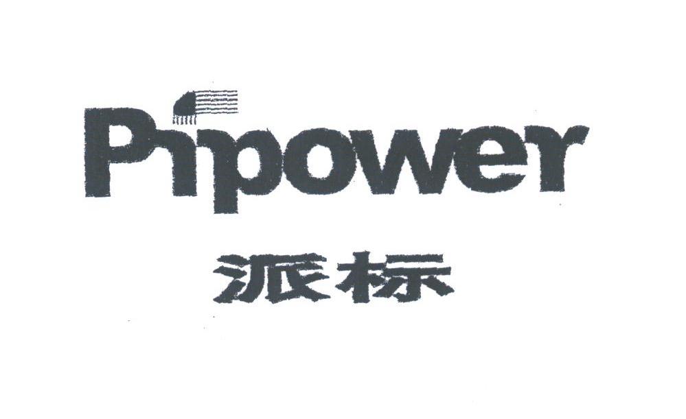 派标;PIPOWER