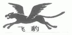 飞豹
