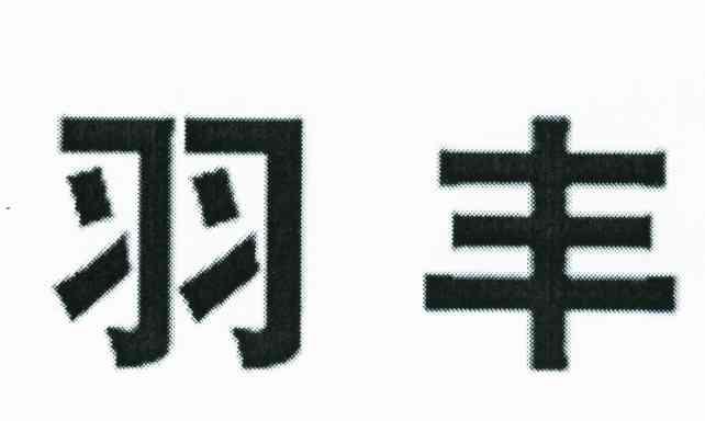 羽丰
