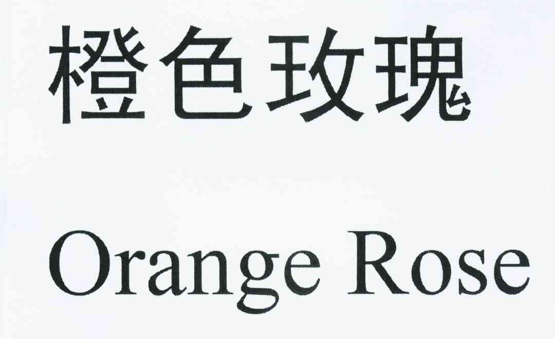 橙色玫瑰 ORANGE ROSE