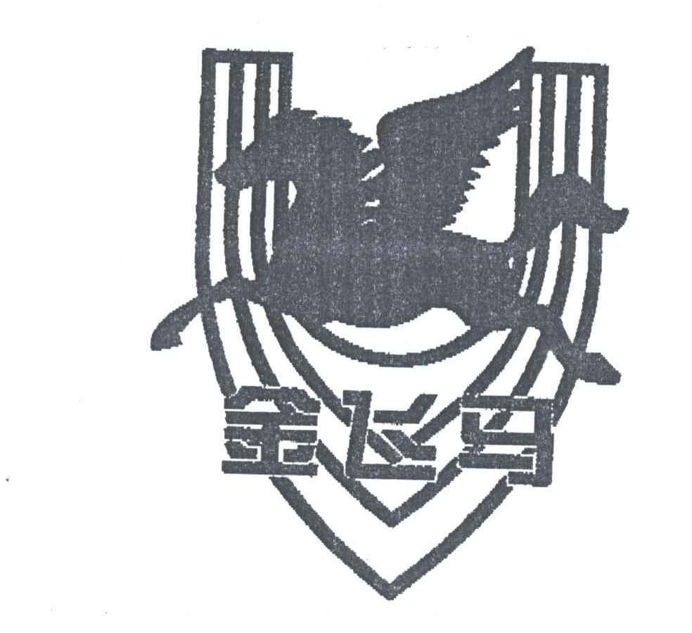 金飞马