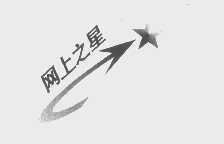 网上之星