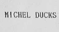 MICHEL DUCKS