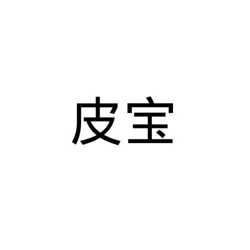 皮宝