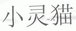 小灵猫