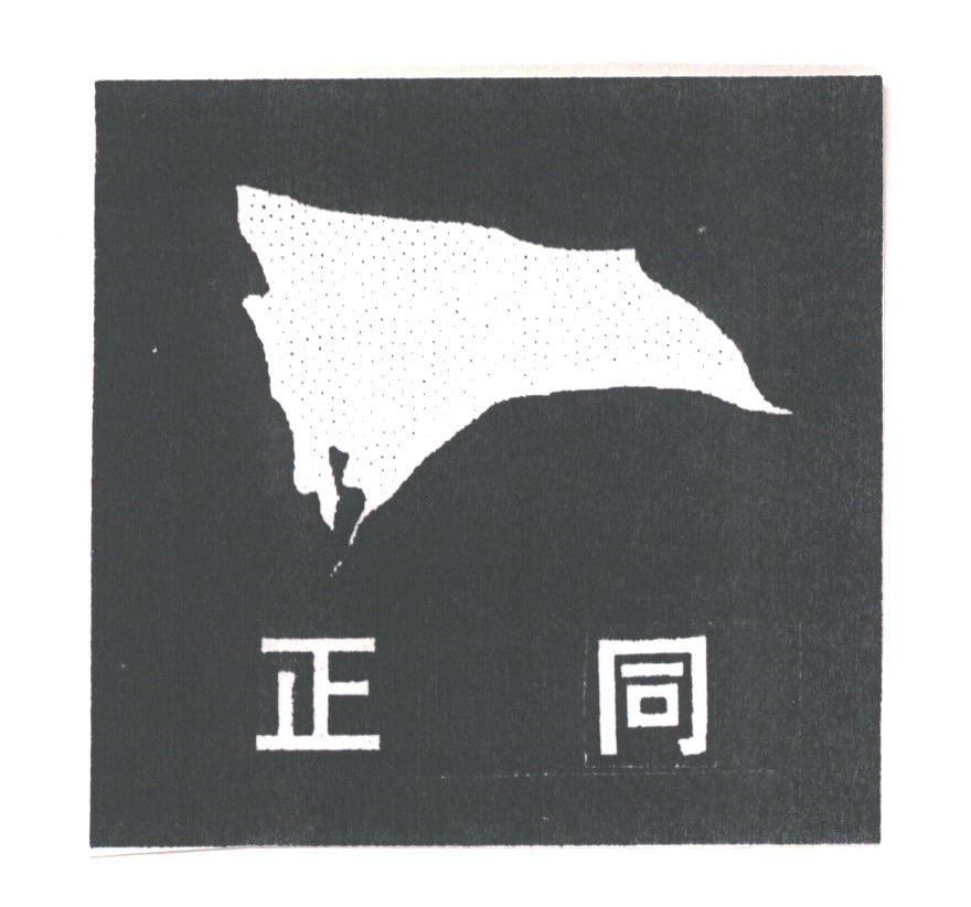 正同