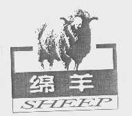 绵羊   SHEEP