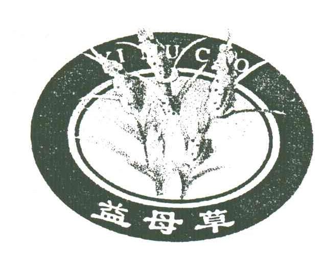 益母草