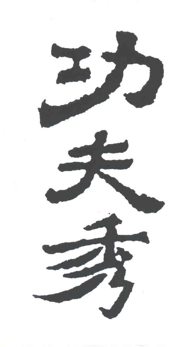 功夫秀