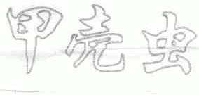 甲壳虫