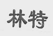 林特