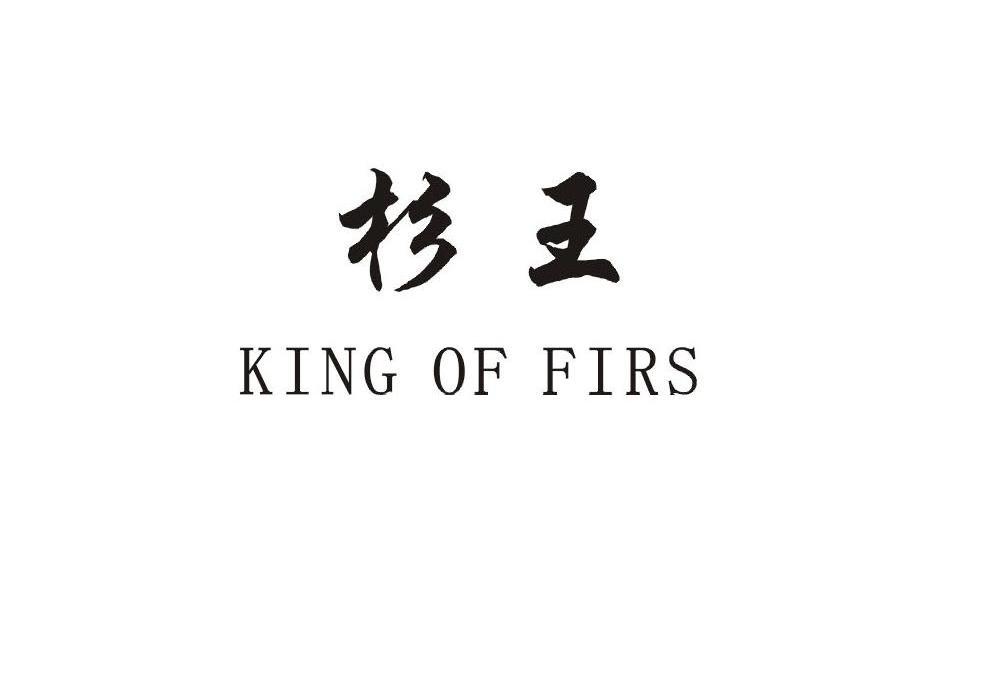 杉王 KING OF FIRS