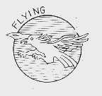 FLYING