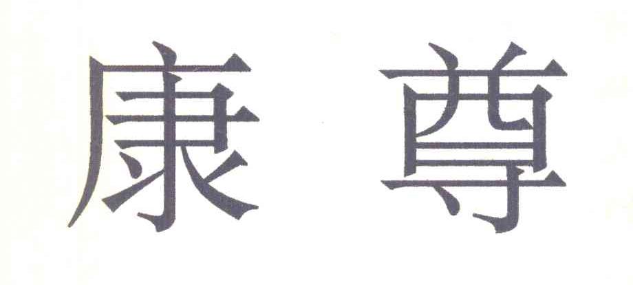 康尊