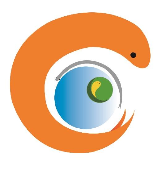 图形