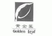 黄金叶;GOLDEN LEAF
