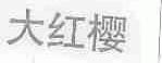 大红樱