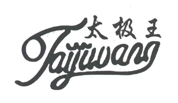 太极王