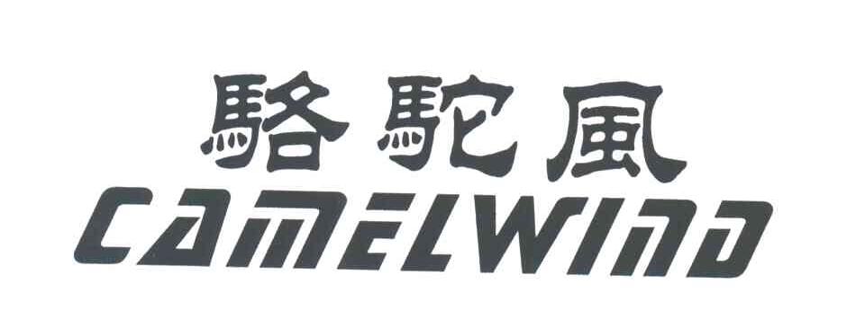 骆驼风;CAMELWIND
