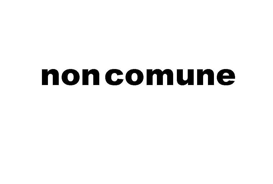 NON COMUNE