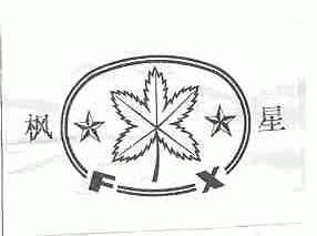 枫星