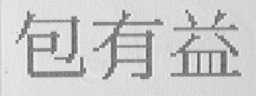 包有益