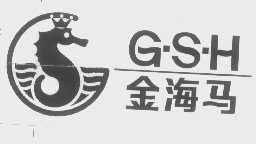 金海马   GSH