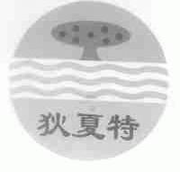 狄夏特