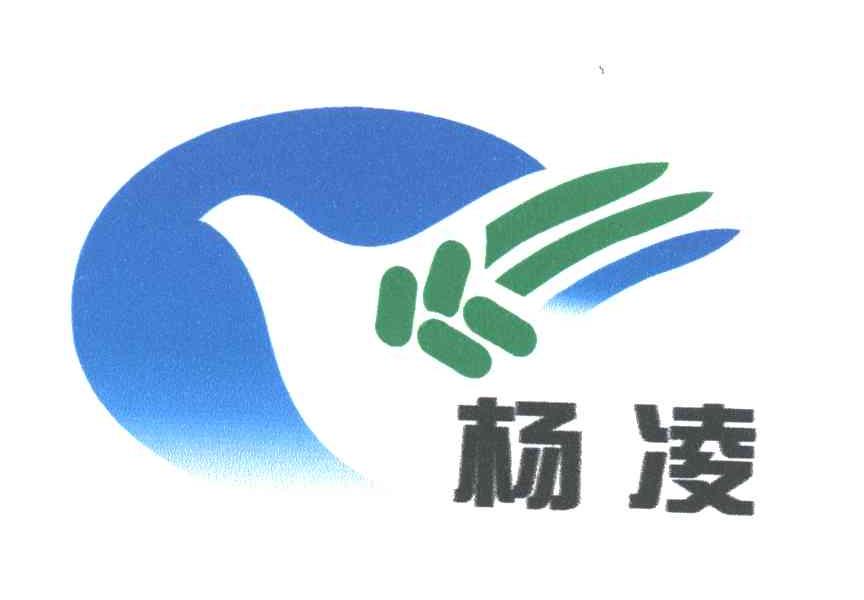 杨凌