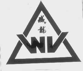 威龙