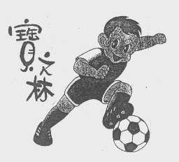 宝之林