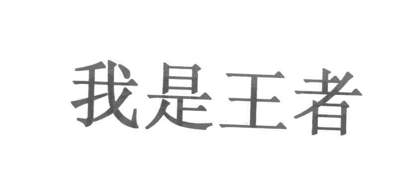 我是王者