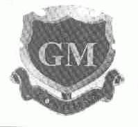 LONGMAX GM