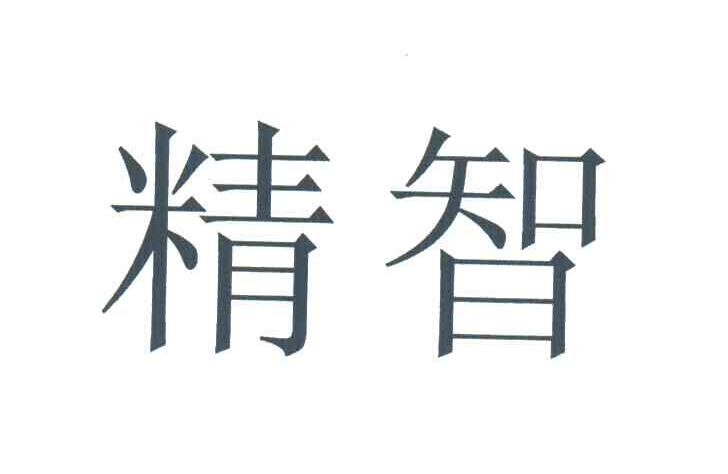 精智