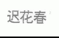 迟花春