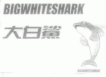 大白鲨;BIGWHITESHARK