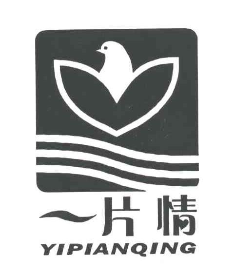 一片情