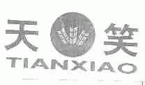 天笑