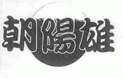 朝阳雄