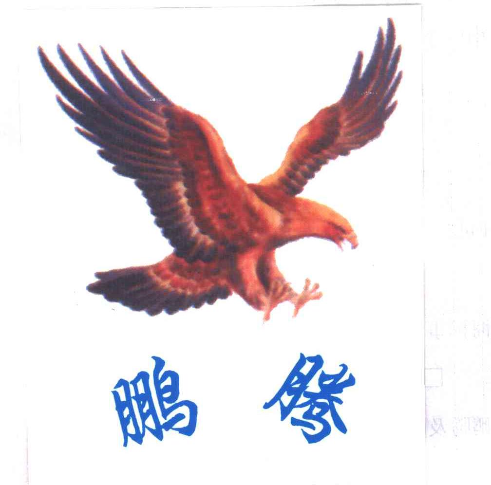 鹏腾