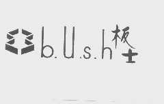 板士   BUSH