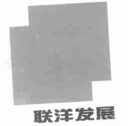 联洋发展