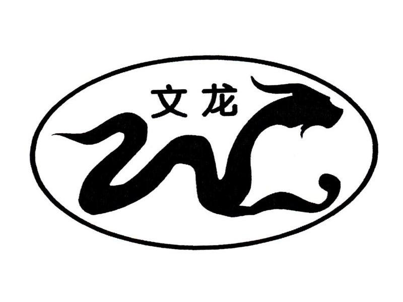 文龙