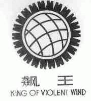 飙王;KING OF VIOLENT WIND