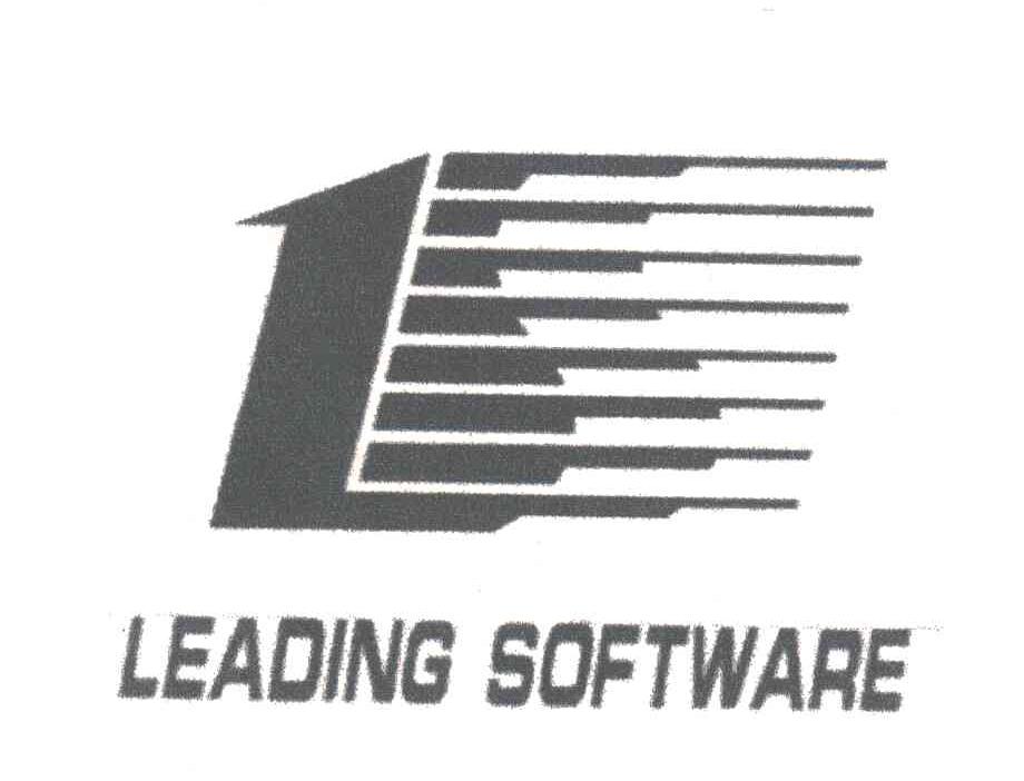 LEADING SOFTWARE