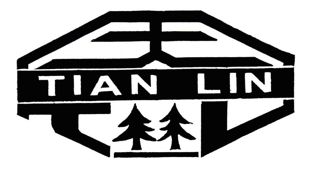 TIAN LIN;天