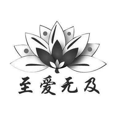 至爱无及
