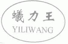 蚁力王